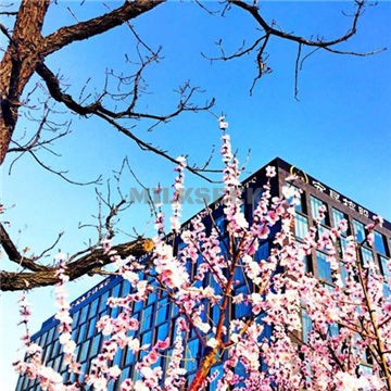 朗丽兹KING’S PARTY量贩式KTV(朗丽兹西山花园酒店)