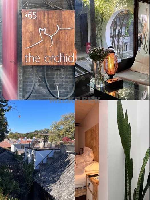 体验北京按摩保健后住进四合院里看人间烟火–The Orchid Hotel3MilkSeek都市体验网