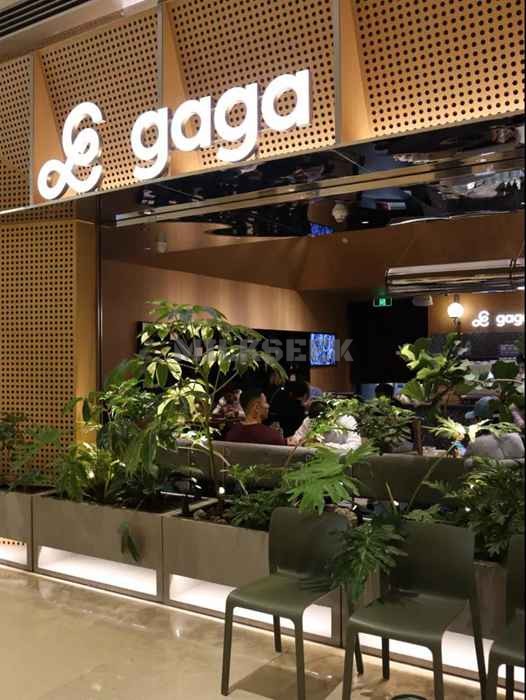 帝都新晋北京个人养生店–gaga(国贸店)1MilkSeek都市体验网