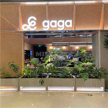 gaga(国贸店)