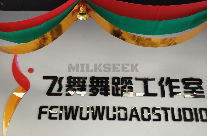 东城家庭式舞蹈工作室让你这个冬天不再寒冷–飞舞舞蹈工作室(雍和宫店)MilkSeek都市体验网