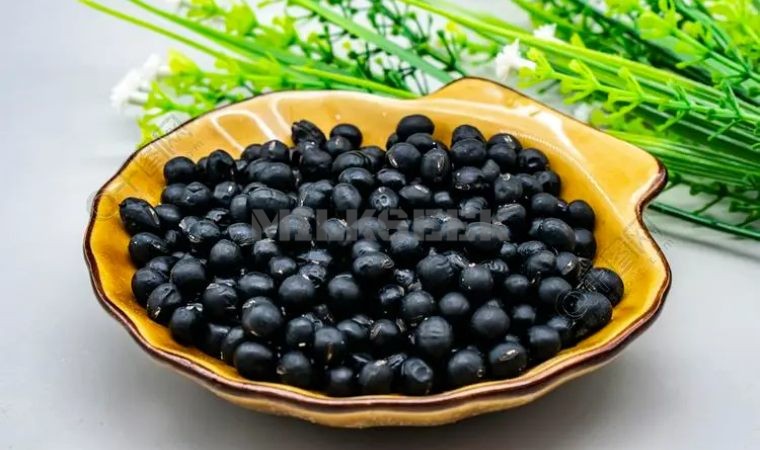 北京双井个人家庭式养生馆推荐益肾化湿食物大全1MilkSeek都市体验网
