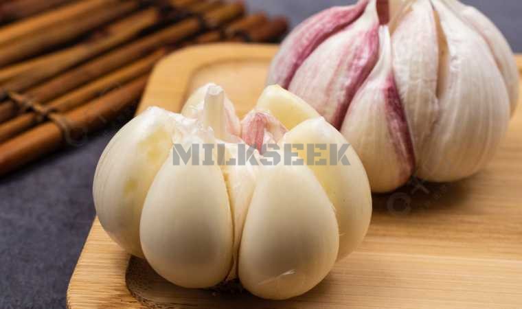 吃两瓣蒜保健养生的好处超出你的想象-北京spa体验馆2MilkSeek都市体验网