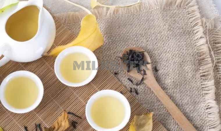 北京思足网和大家分享绿茶的养生功效2MilkSeek都市体验网