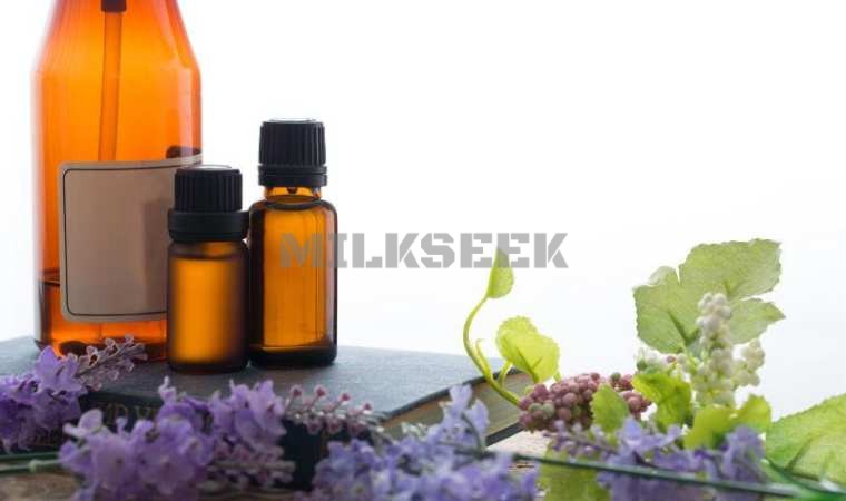 北京SPA：体验身心的舒适和放松1MilkSeek都市体验网