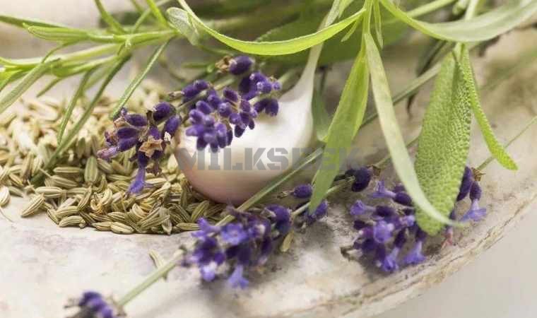 北京SPA：体验身心的舒适和放松2MilkSeek都市体验网
