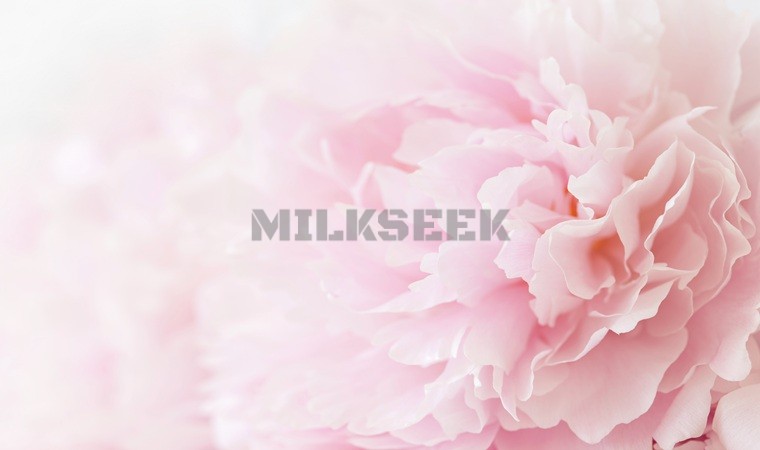 北京望京附近的家庭式SPA馆都有什么项目MilkSeek都市体验网