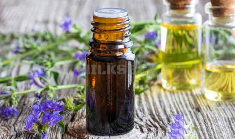 寻找女性专属的spa场所，享受女性专业护理服务1MilkSeek都市体验网