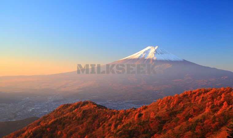 北京养生网推荐的夏季养生方法1MilkSeek都市体验网