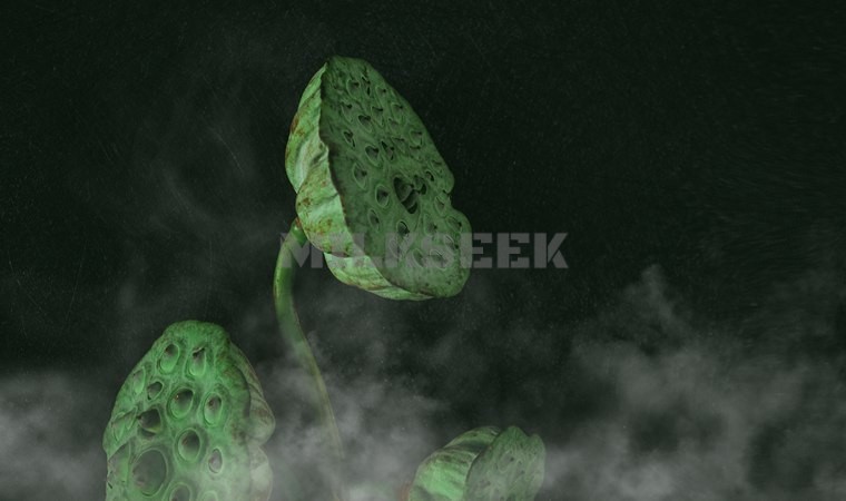 北京家庭式spa会所里边开始都是选技师吗？2MilkSeek都市体验网