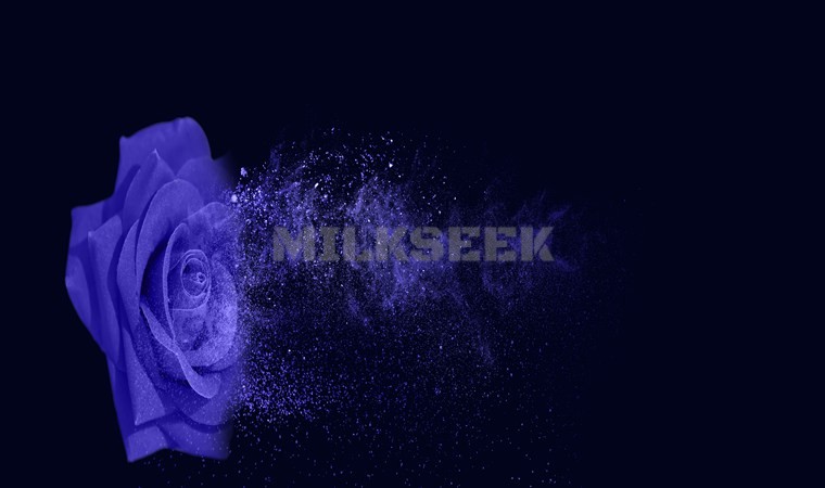 寻找男士专属的spa场所，享受男士护理服务1MilkSeek都市体验网