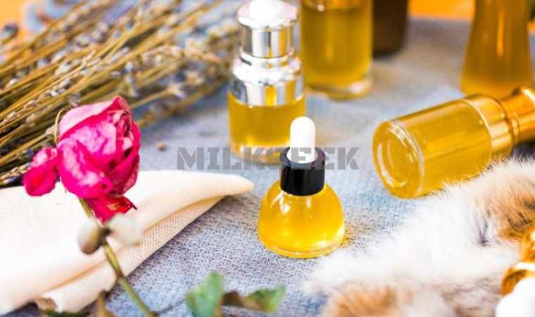 寻找女性专属的spa场所，享受女性专业护理服务2MilkSeek都市体验网