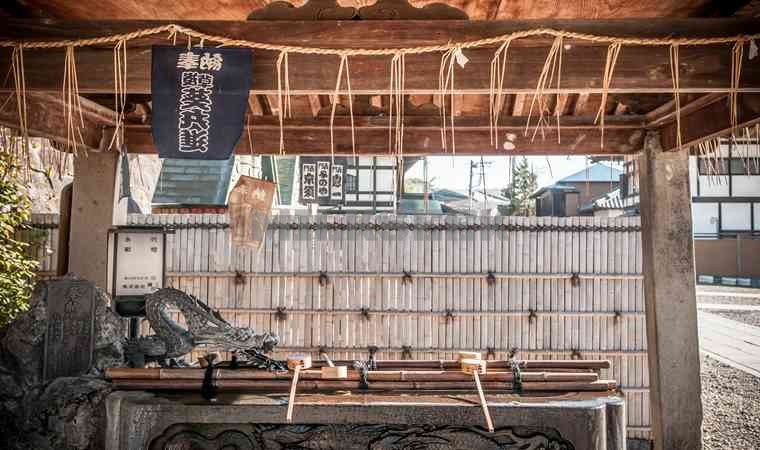 北京养生网告诉你夏季养生祛湿要注意什么MilkSeek都市体验网