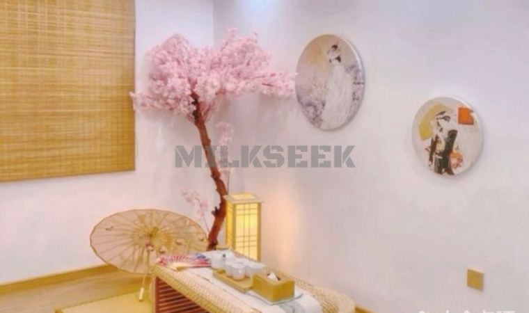 畅游东方水磨之乐，体验纯正日式水磨按摩2MilkSeek都市体验网