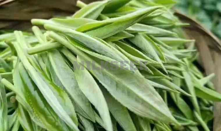 北京品茶到店海选：寻找城市中的独特茶香体验2MilkSeek都市体验网