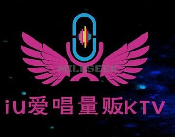iU爱唱量贩式KTV(六里桥店)