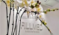 法国FILLMED菲欧曼抗衰老中心(王府中环店)