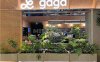 gaga(国贸店)