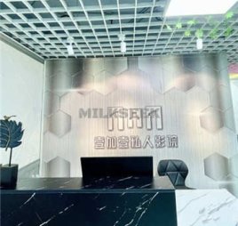 壹加壹私人影院(宋家庄店)