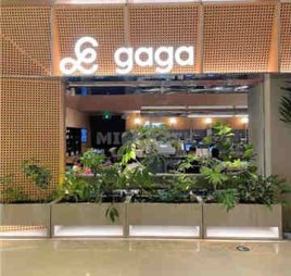 gaga(国贸店)