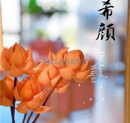 希颜中式瘦身经络减肥塑形抗衰管理(东直门店)