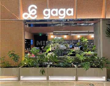 gaga(国贸店)