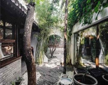 The Orchid Hotel