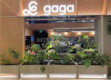 gaga(国贸店)