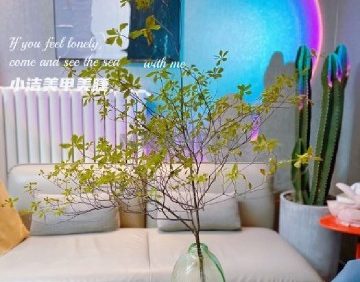 小洁美甲美睫半永久定妆（城市之光店）