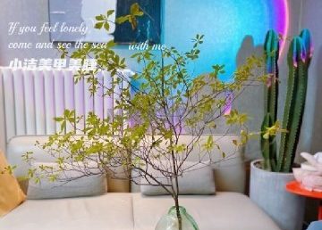 小洁美甲美睫半永久定妆（城市之光店）