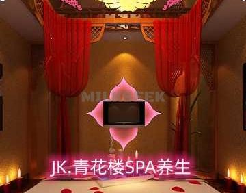 JK.青花楼SPA养生（丽港大厦店）