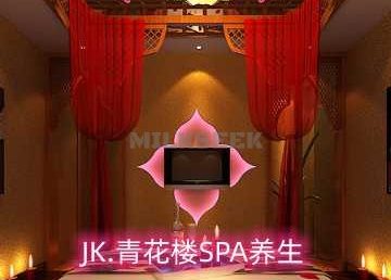 JK.青花楼SPA养生（丽港大厦店）