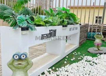 不只是瑜伽