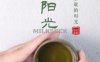 新阳光