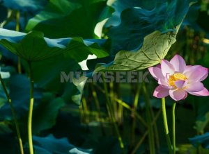 北京男士SPA建议男性朋友夏季合理运动，健康度过夏天