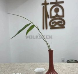 檀依瑜伽