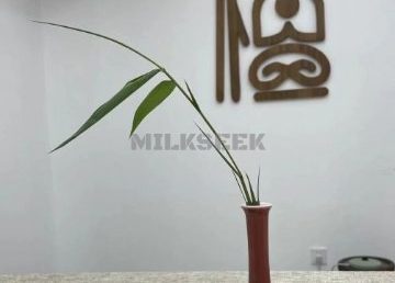 檀依瑜伽