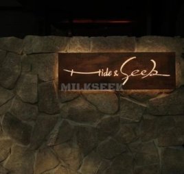 Hide&Seek