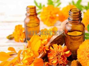 解析北京SPA中的臀部推拿：了解按摩方法与受欢迎程度