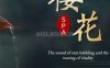 樱花SPA水疗会所