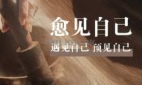 云水禅心纯享空间